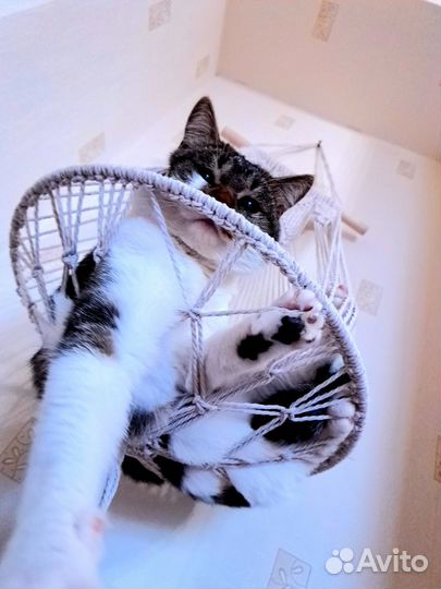 Лежанка для кошек макраме