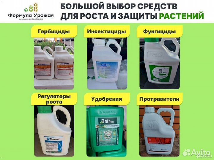 Табу - универсальный инсектицидный протравитель