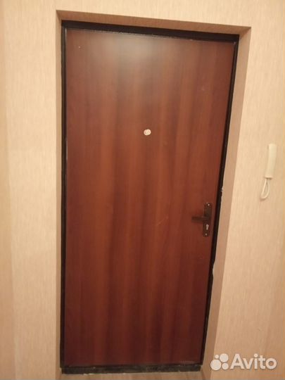 Дверь входная металлическая от застройщика, унитаз