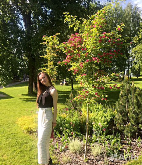 Администратор / Менеджер