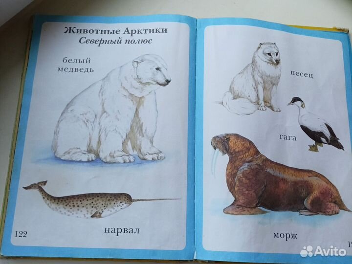 Моя первая книга энциклопедия малыша