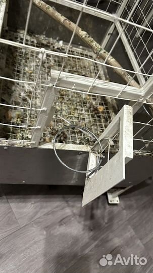 Клетка для крупного попугая