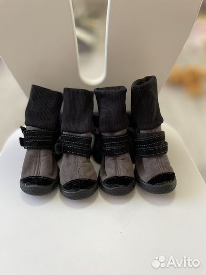 Обувь для собак мелких пород