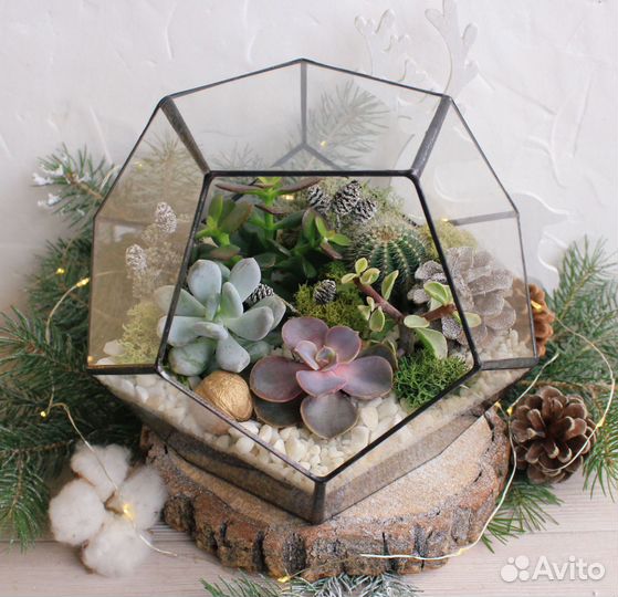 Флорариумы Magic Garden