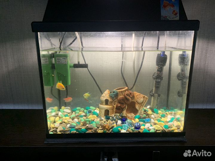 Аквариум с рыбками