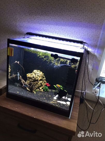 Аквариум с рыбками 60 л