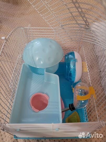 Клетка для сирийского хомяка