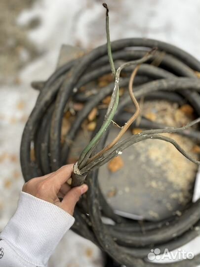 Пушка тепловая