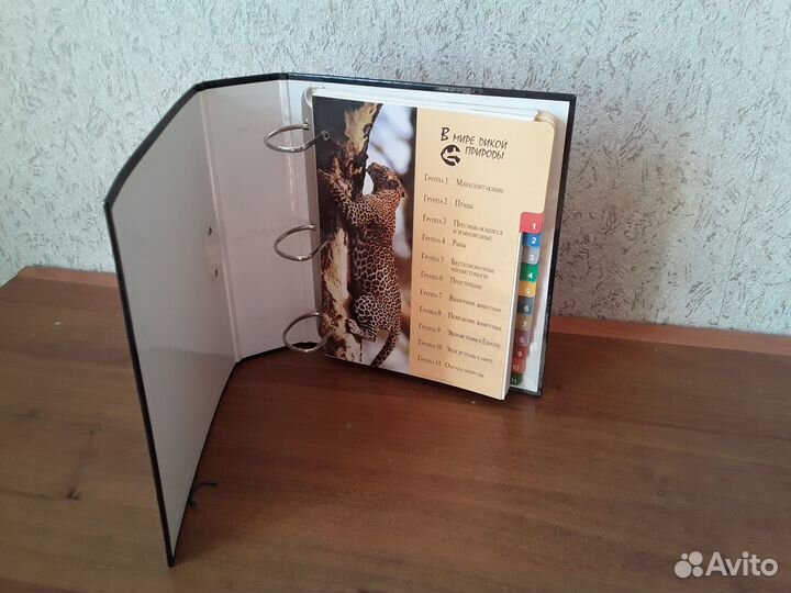 Энциклопедия словарь