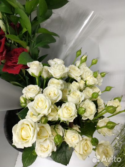 Розы кустовая