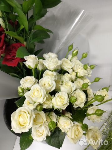 Розы кустовая