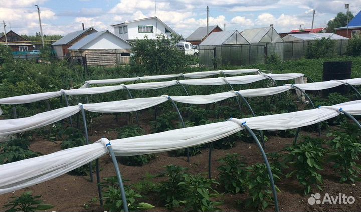 Агротекс укрывной материал белый