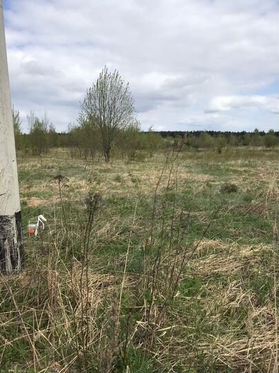 Участок 12,3 сот. (СНТ, ДНП)