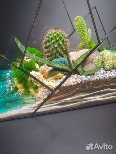 Флорариум 