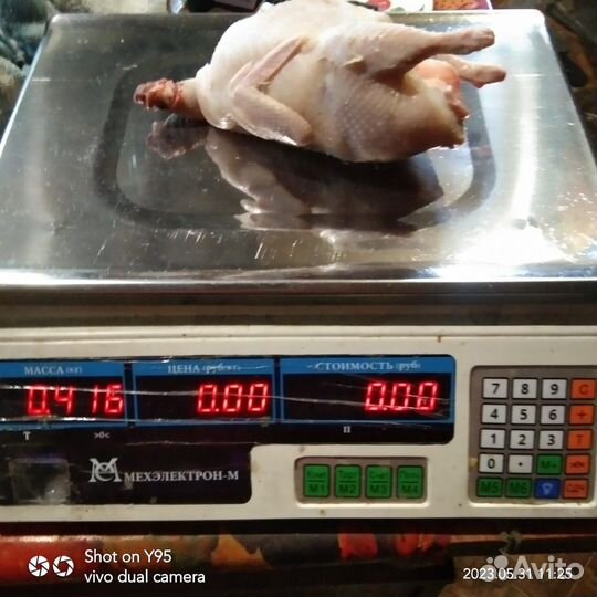 Перепелинное мясо