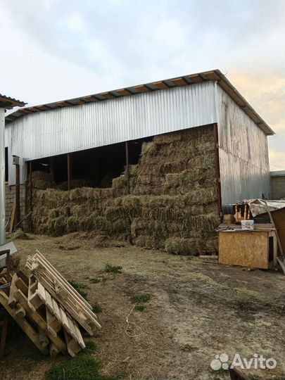 Сено в квадратных тюках