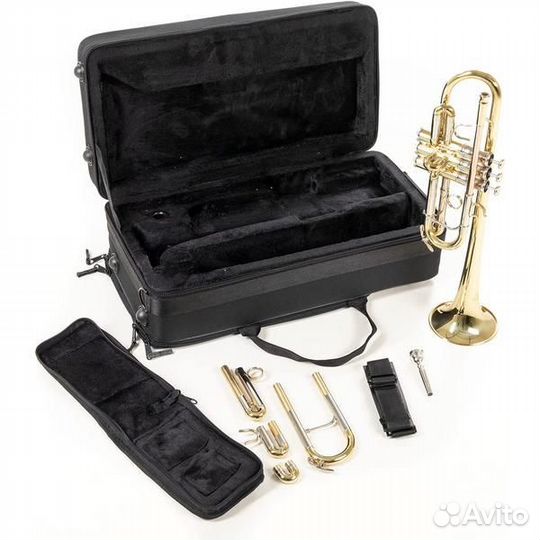 Труба Roy Benson TR-402 C