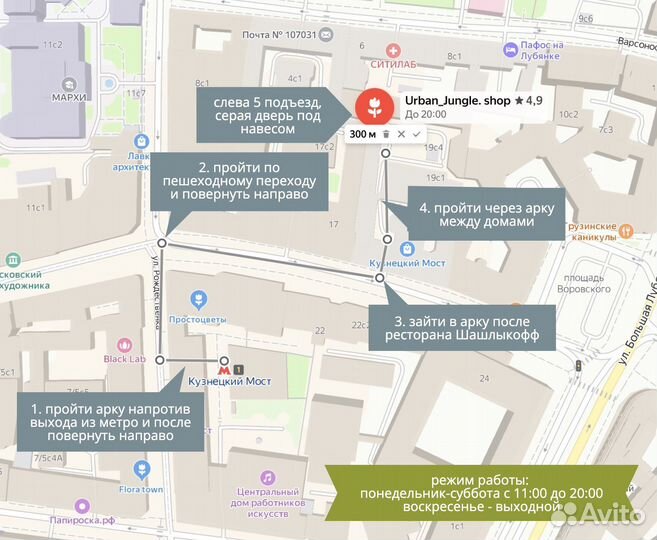 Каллизия голд