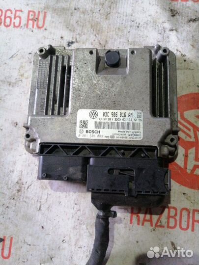 Блок управления двс Volkswagen Golf 6 хэтчбэк CAX