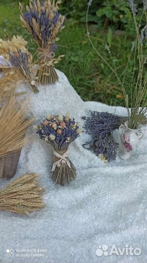 Букет из Крымской лаванды