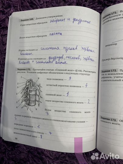 Рабочая тетрадь по биологии