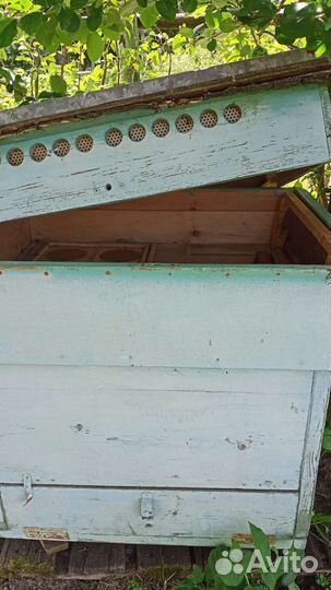 Улей для пчел