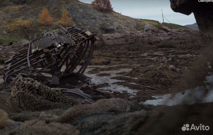 Из Питера на берег океана