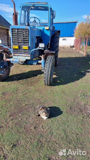 Трактор МТЗ (Беларус) 80, 1993