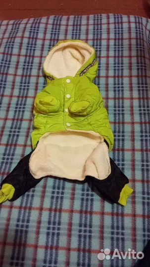 Новый зимний комбинезон для собак