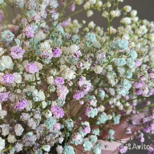 Цветы Гипсофила в коробке