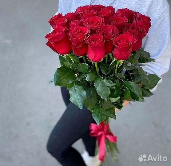 Розы гиганты 140 150 160 170 180 200