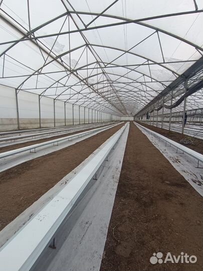 Теплицы 8 га