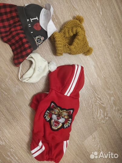 Одежда для маленьких собак лот