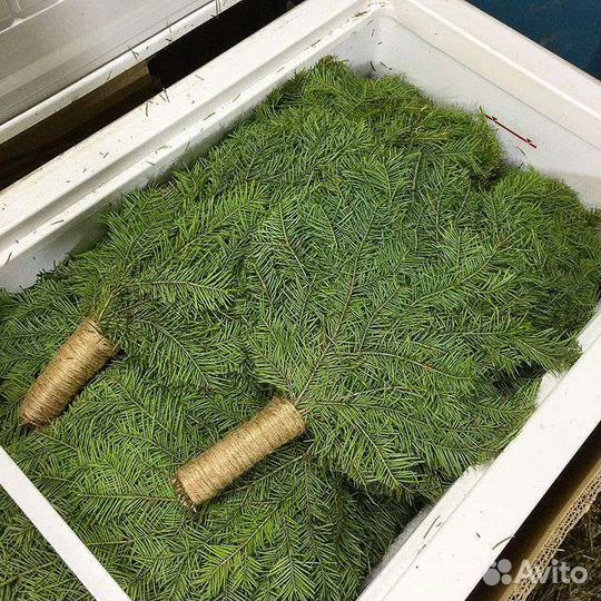 Веники для баньки. Огромный выбор