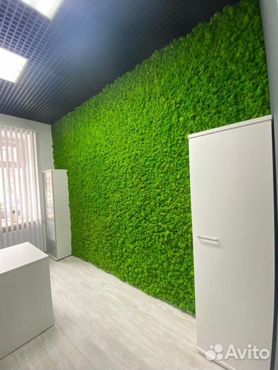 Стены из мха для естественного уюта Арт: 214489