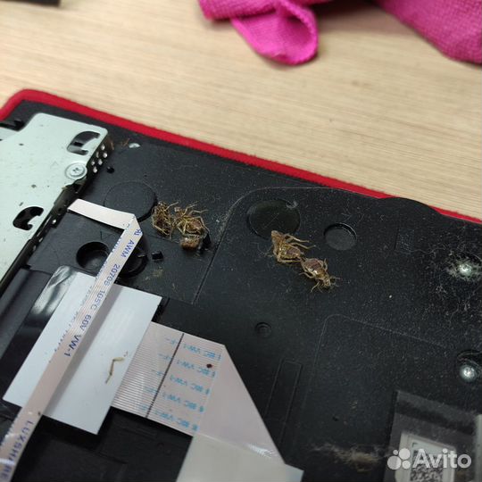 Чистка и ремонт PS4