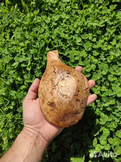 Плоская чаша для подачи из сувели ели. Древоточец