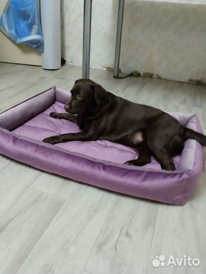 Лежанка для собак