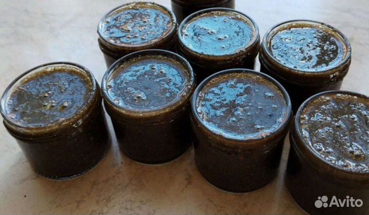 Медогон паразитарный