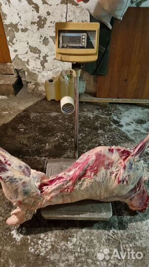 Мясо баранины