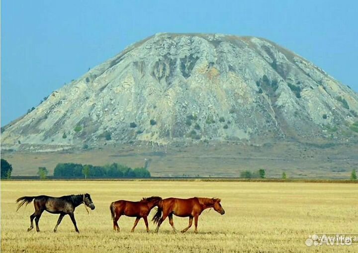 Экскурсии по Уфе и Башкирии