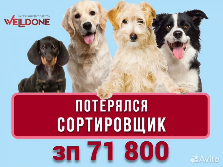 Сортировщик (питание развозка)