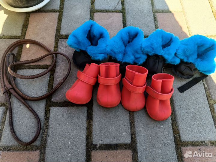 Обувь для собак