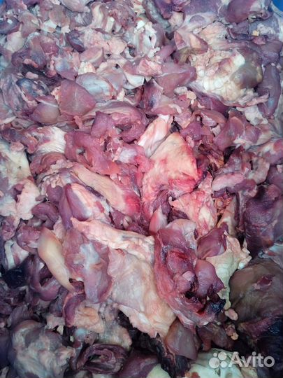 Мясо говядина для собак (обрезь)