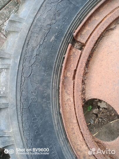 Колесо в сборе б/у на газ 53 продам