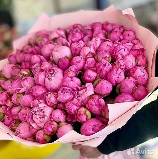 Пионы Букет пионов