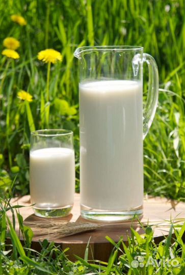 Молоко