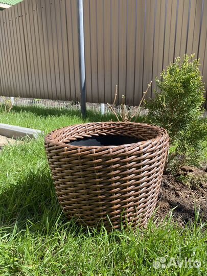 Корзина