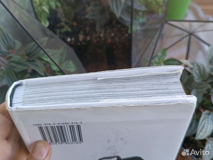 Проза бродячих псов том 1