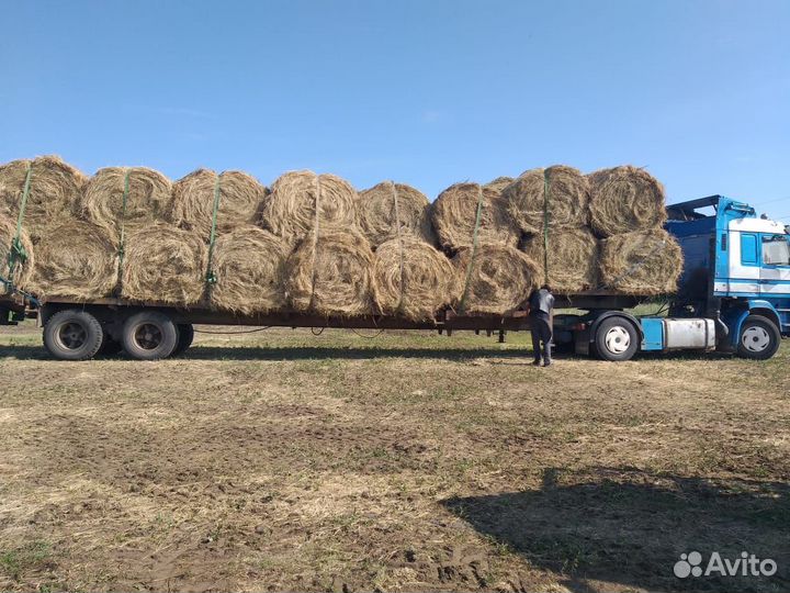 Сено в рулонах